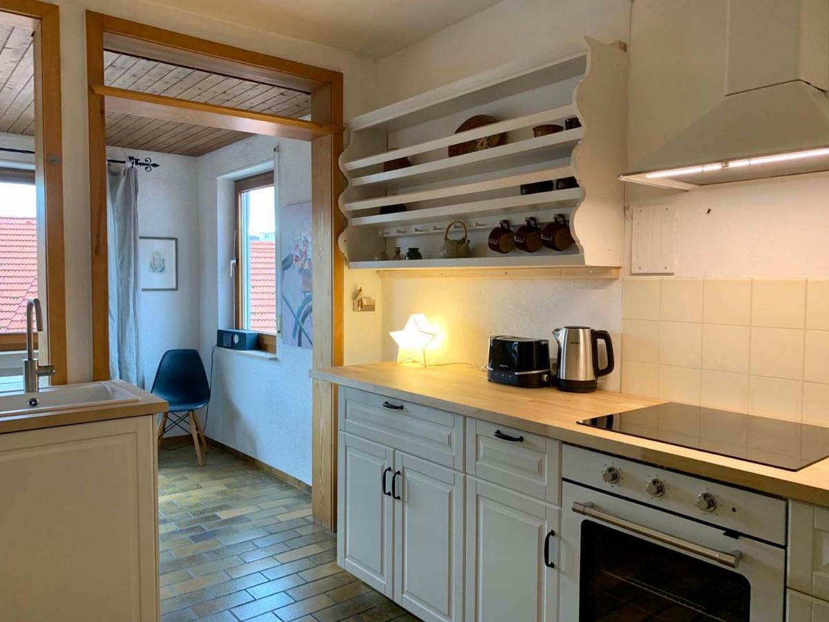 Deluxe Business City Apartments Metzingen Villa Landenberger 외부 사진