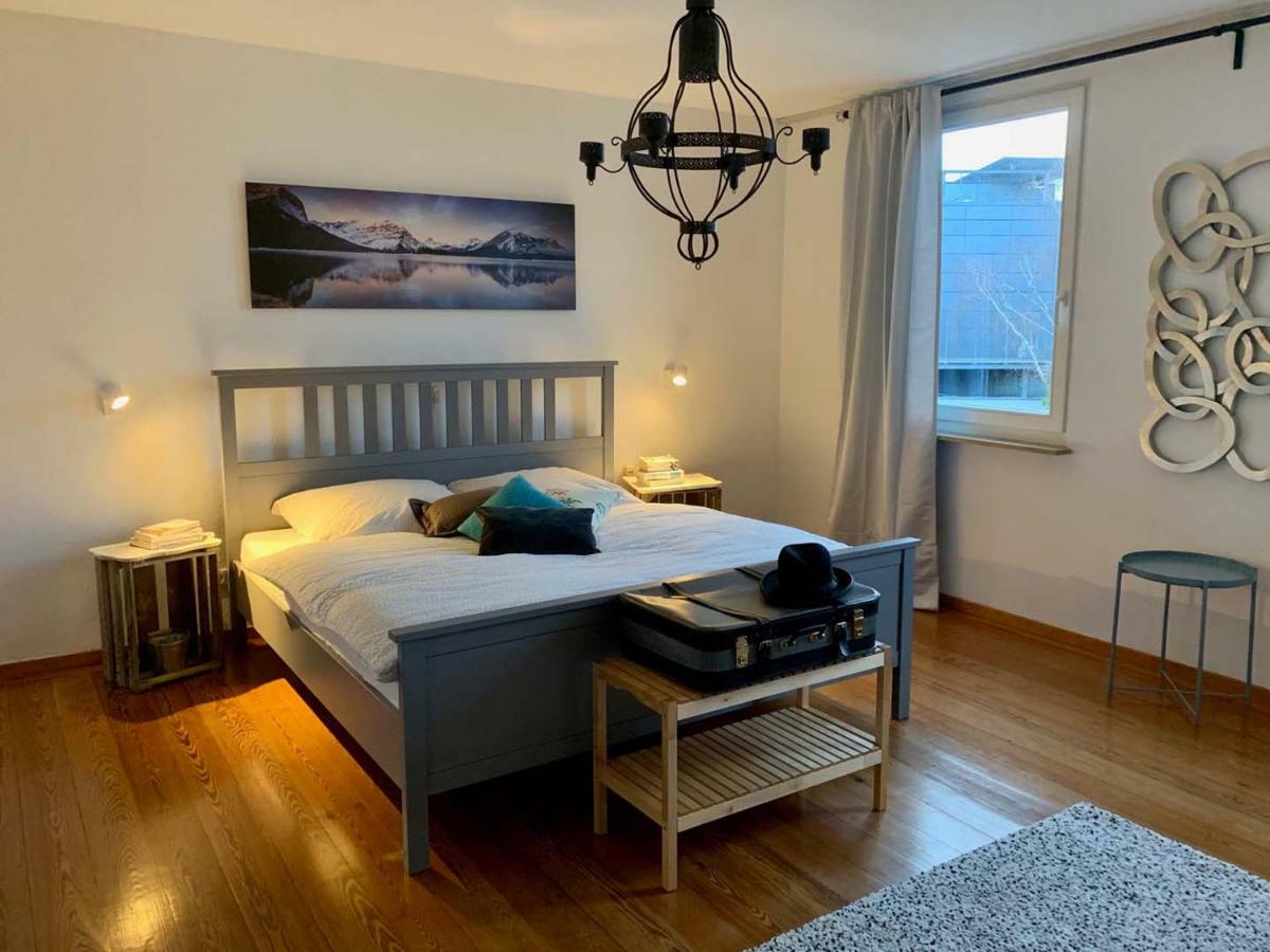 Deluxe Business City Apartments Metzingen Villa Landenberger 외부 사진