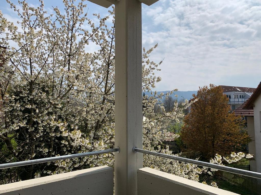 Deluxe Business City Apartments Metzingen Villa Landenberger 외부 사진